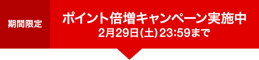 ポイント倍増キャンペーン実施中 2月29日 23:59まで