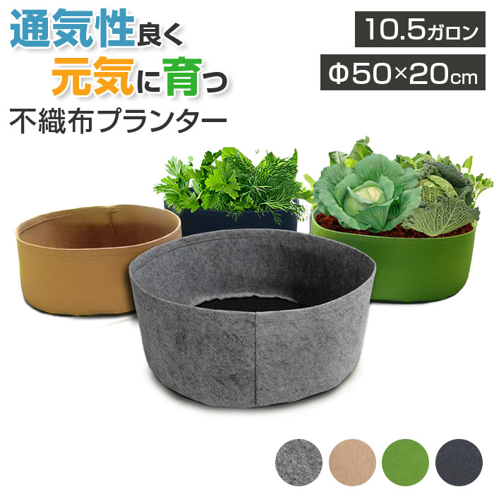 BACKYARD FAMILY インテリア小物・置物のサムネイル