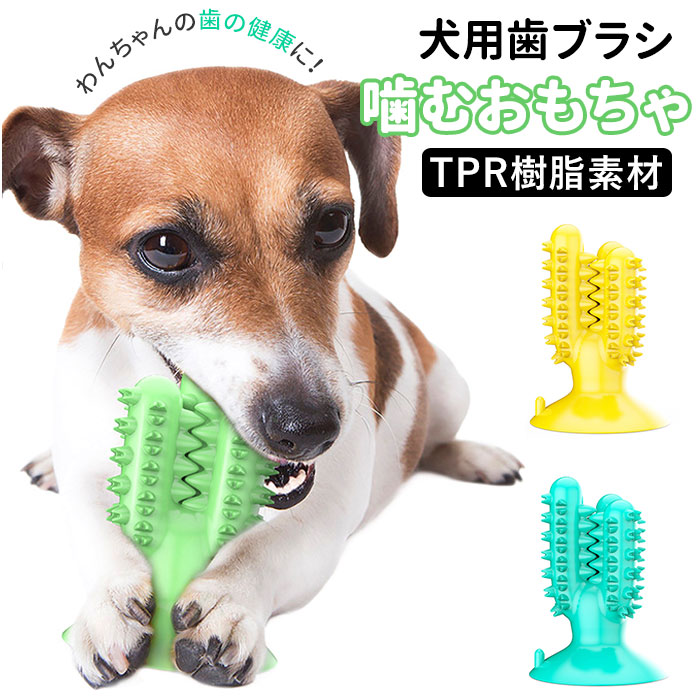 犬歯ブラシ噛むおもちゃ ds423[品番：BCYW0009968]｜BACKYARD FAMILY