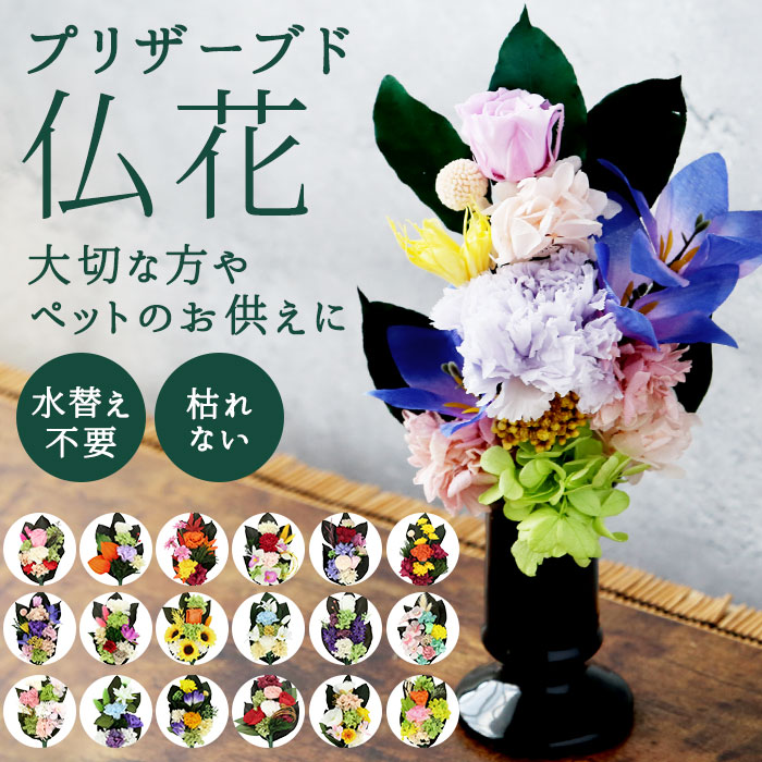 BACKYARD FAMILY インテリア小物・置物のサムネイル