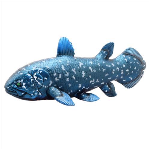 カサゴ フィギュア 魚寸27cm 麗しき