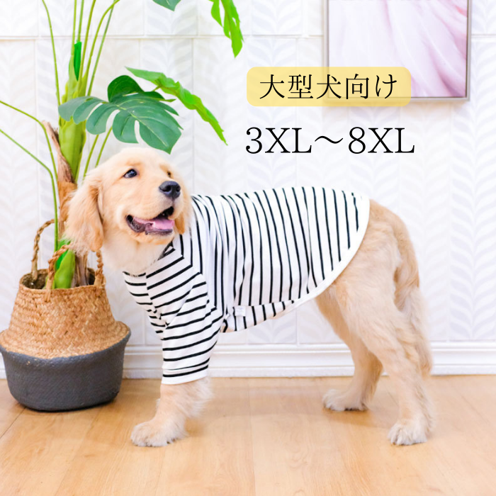 犬服 大型犬 ボーダー[品番：WBAW0002372]｜Gain-Mart（ゲイン