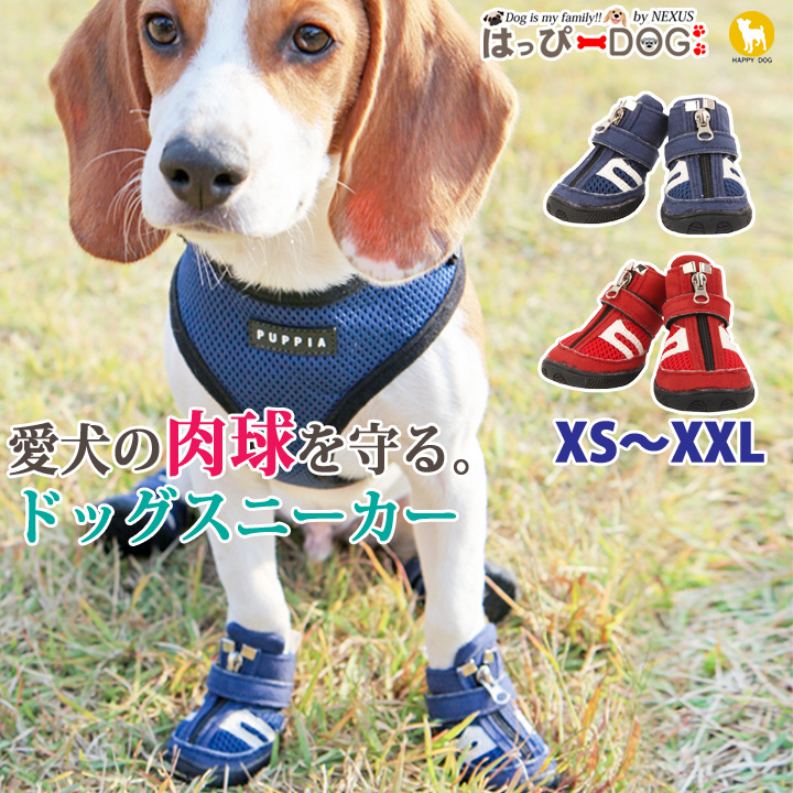 犬 靴 犬靴[品番：NX000006391]｜K-city（ケイシティ）の