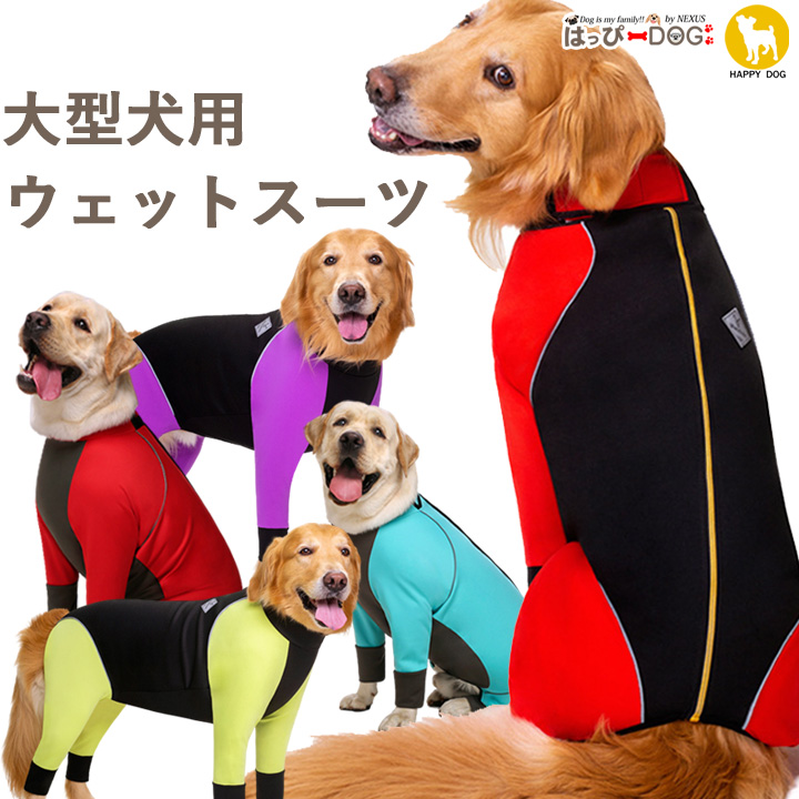 犬 服 犬服[品番：NX000006718]｜K-city（ケイシティ）のファッション通販｜SHOPLIST（ショップリスト）