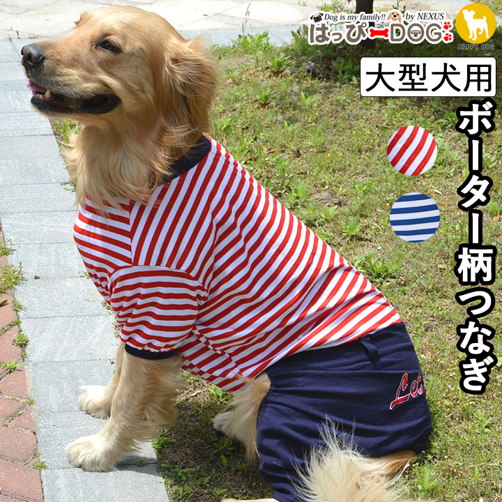 大型犬 犬 服[品番：NX000006841]｜K-city（ケイシティ）のファッション通販｜SHOPLIST（ショップリスト）