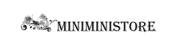 Miniministore