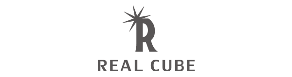 REALCUBE
